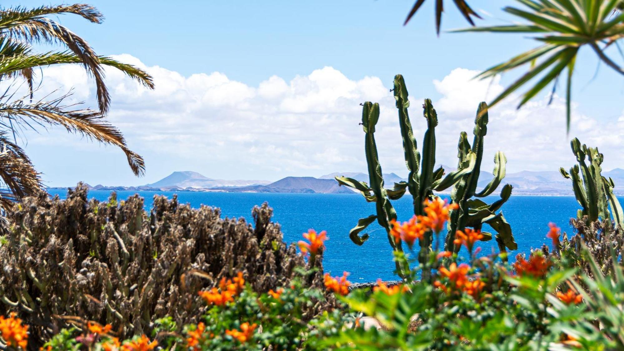 Villa Vista Mar プラヤ・ブランカ エクステリア 写真